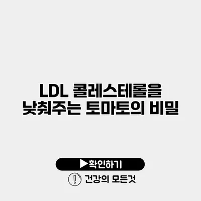 LDL 콜레스테롤을 낮춰주는 토마토의 비밀