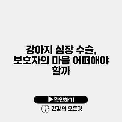 강아지 심장 수술, 보호자의 마음 어떠해야 할까?