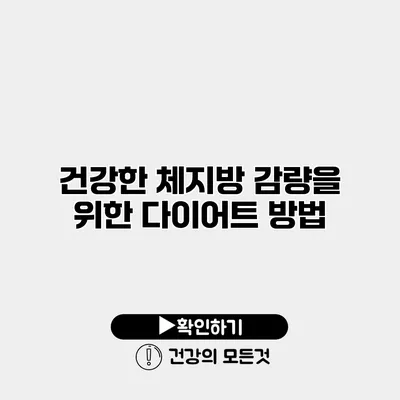 건강한 체지방 감량을 위한 다이어트 방법