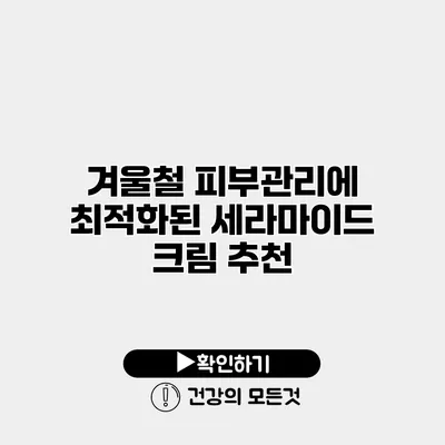 겨울철 피부관리에 최적화된 세라마이드 크림 추천