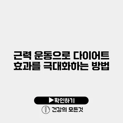 근력 운동으로 다이어트 효과를 극대화하는 방법