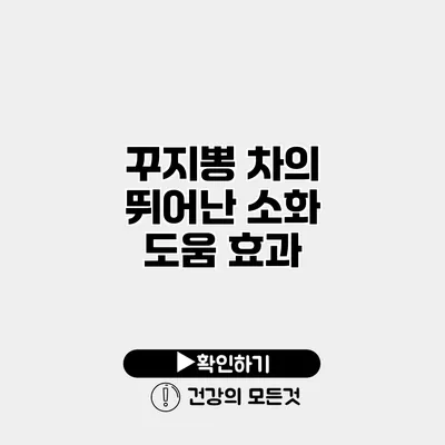 꾸지뽕 차의 뛰어난 소화 도움 효과