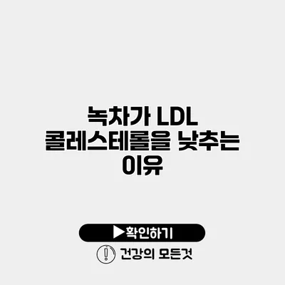 녹차가 LDL 콜레스테롤을 낮추는 이유