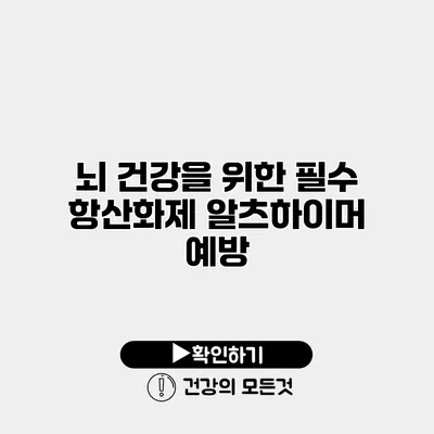뇌 건강을 위한 필수 항산화제 알츠하이머 예방
