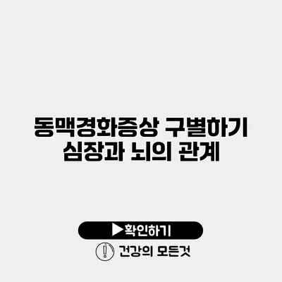 동맥경화증상 구별하기 심장과 뇌의 관계