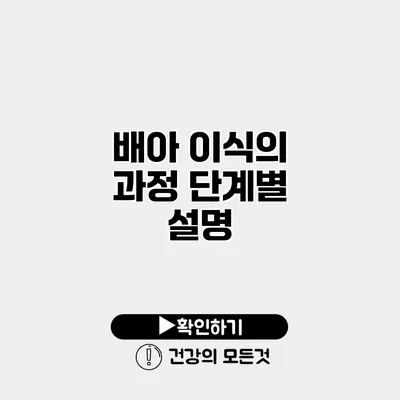배아 이식의 과정 단계별 설명