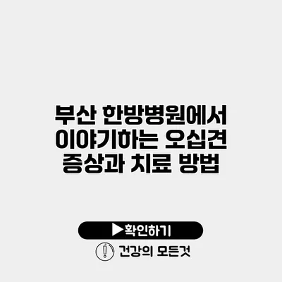 부산 한방병원에서 이야기하는 오십견 증상과 치료 방법