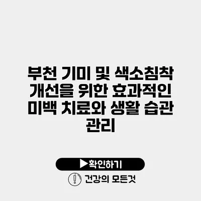 부천 기미 및 색소침착 개선을 위한 효과적인 미백 치료와 생활 습관 관리