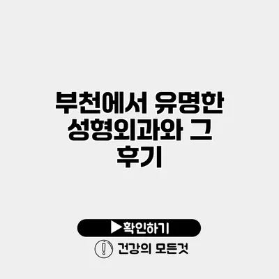 부천에서 유명한 성형외과와 그 후기