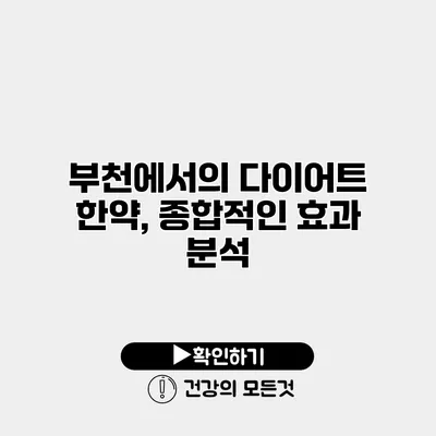 부천에서의 다이어트 한약, 종합적인 효과 분석