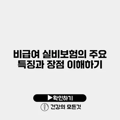 비급여 실비보험의 주요 특징과 장점 이해하기