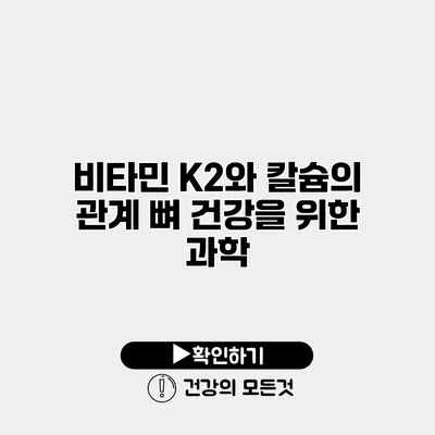비타민 K2와 칼슘의 관계 뼈 건강을 위한 과학