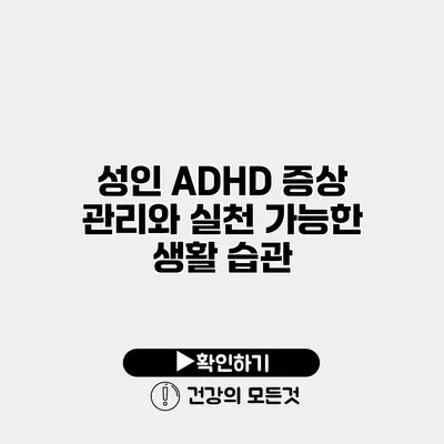 성인 ADHD 증상 관리와 실천 가능한 생활 습관