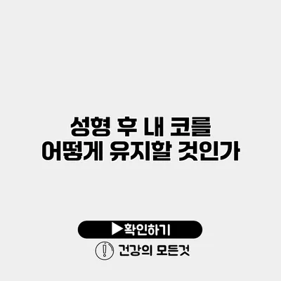 성형 후 내 코를 어떻게 유지할 것인가?