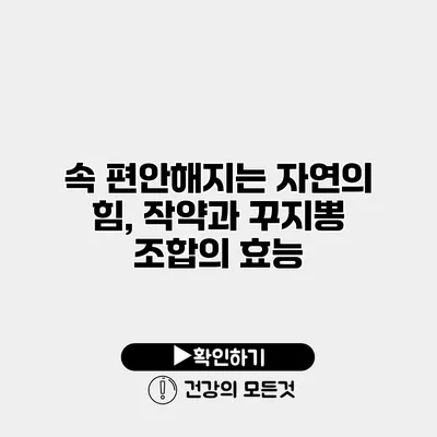 속 편안해지는 자연의 힘, 작약과 꾸지뽕 조합의 효능