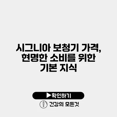 시그니아 보청기 가격, 현명한 소비를 위한 기본 지식