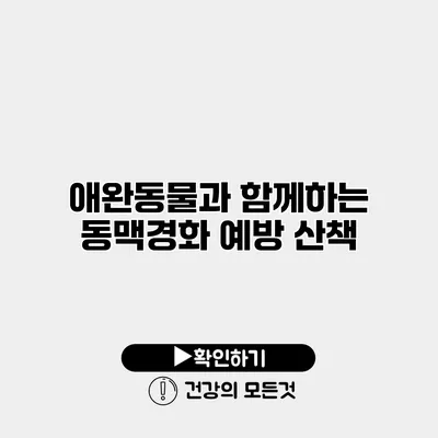 애완동물과 함께하는 동맥경화 예방 산책