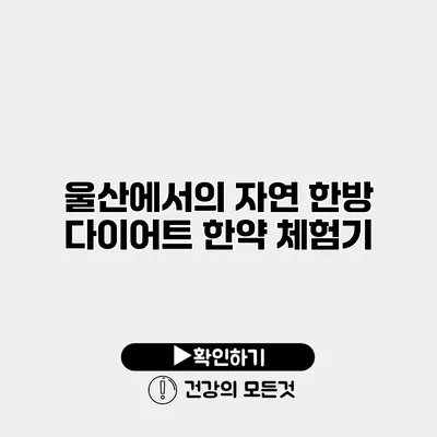 울산에서의 자연 한방 다이어트 한약 체험기