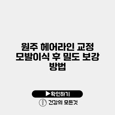 원주 헤어라인 교정 모발이식 후 밀도 보강 방법