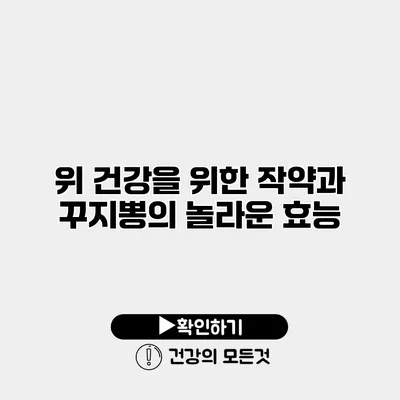 위 건강을 위한 작약과 꾸지뽕의 놀라운 효능