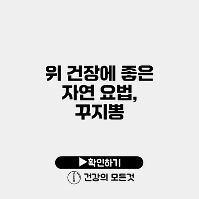 위 건장에 좋은 자연 요법, 꾸지뽕