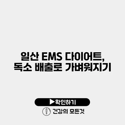 일산 EMS 다이어트, 독소 배출로 가벼워지기