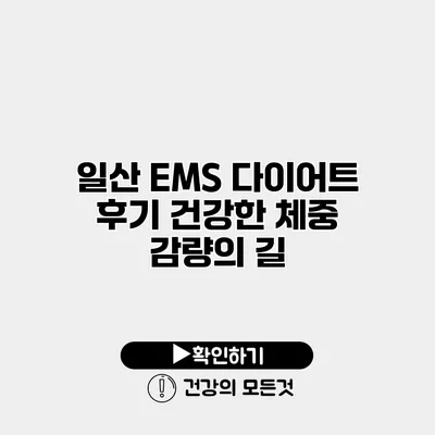 일산 EMS 다이어트 후기 건강한 체중 감량의 길