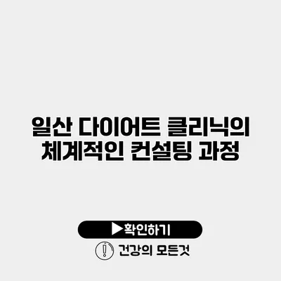 일산 다이어트 클리닉의 체계적인 컨설팅 과정