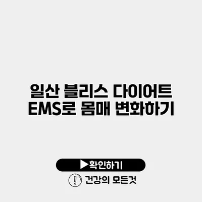 일산 블리스 다이어트 EMS로 몸매 변화하기