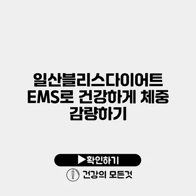 일산블리스다이어트 EMS로 건강하게 체중 감량하기