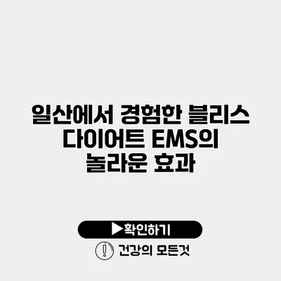 일산에서 경험한 블리스 다이어트 EMS의 놀라운 효과