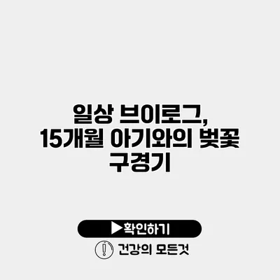 일상 브이로그, 15개월 아기와의 벚꽃 구경기