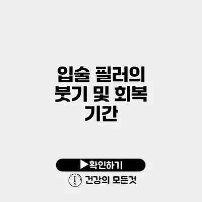 입술 필러의 붓기 및 회복 기간