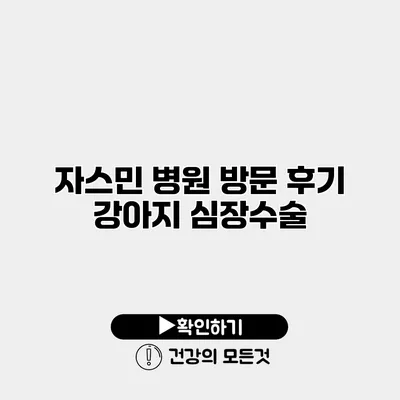 자스민 병원 방문 후기 강아지 심장수술