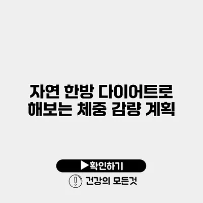 자연 한방 다이어트로 해보는 체중 감량 계획