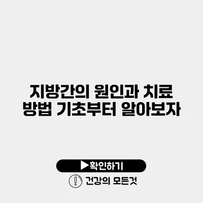 지방간의 원인과 치료 방법 기초부터 알아보자