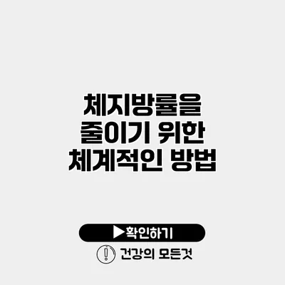 체지방률을 줄이기 위한 체계적인 방법