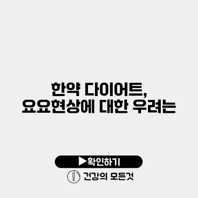 한약 다이어트, 요요현상에 대한 우려는?