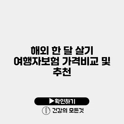 해외 한 달 살기 여행자보험 가격비교 및 추천