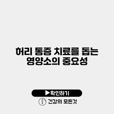 허리 통증 치료를 돕는 영양소의 중요성