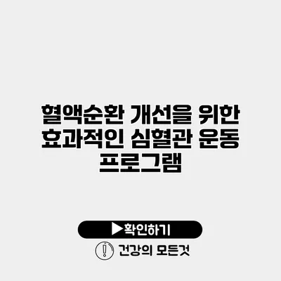 혈액순환 개선을 위한 효과적인 심혈관 운동 프로그램