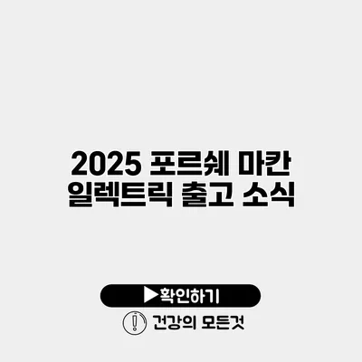 2025 포르쉐 마칸 일렉트릭 출고 소식