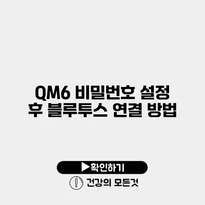 QM6 비밀번호 설정 후 블루투스 연결 방법