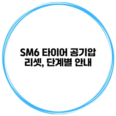 SM6 타이어 공기압 리셋, 단계별 안내