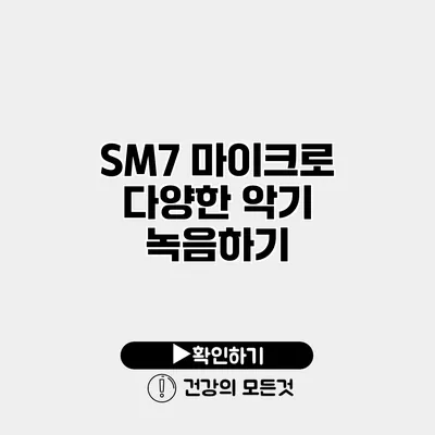 SM7 마이크로 다양한 악기 녹음하기