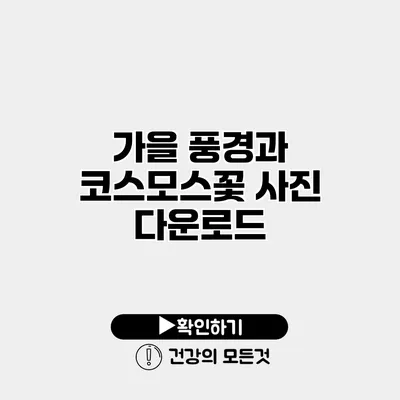 가을 풍경과 코스모스꽃 사진 다운로드