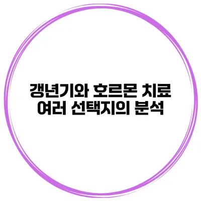 갱년기와 호르몬 치료: 여러 선택지의 분석