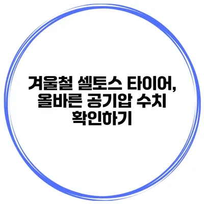 겨울철 셀토스 타이어, 올바른 공기압 수치 확인하기