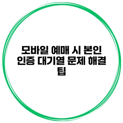 모바일 예매 시 본인 인증 대기열 문제 해결 팁