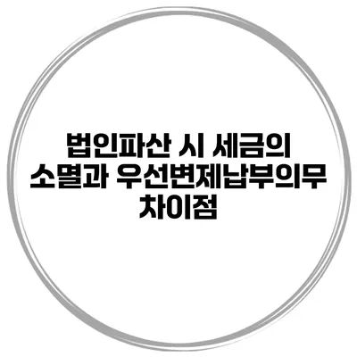 법인파산 시 세금의 소멸과 우선변제납부의무 차이점